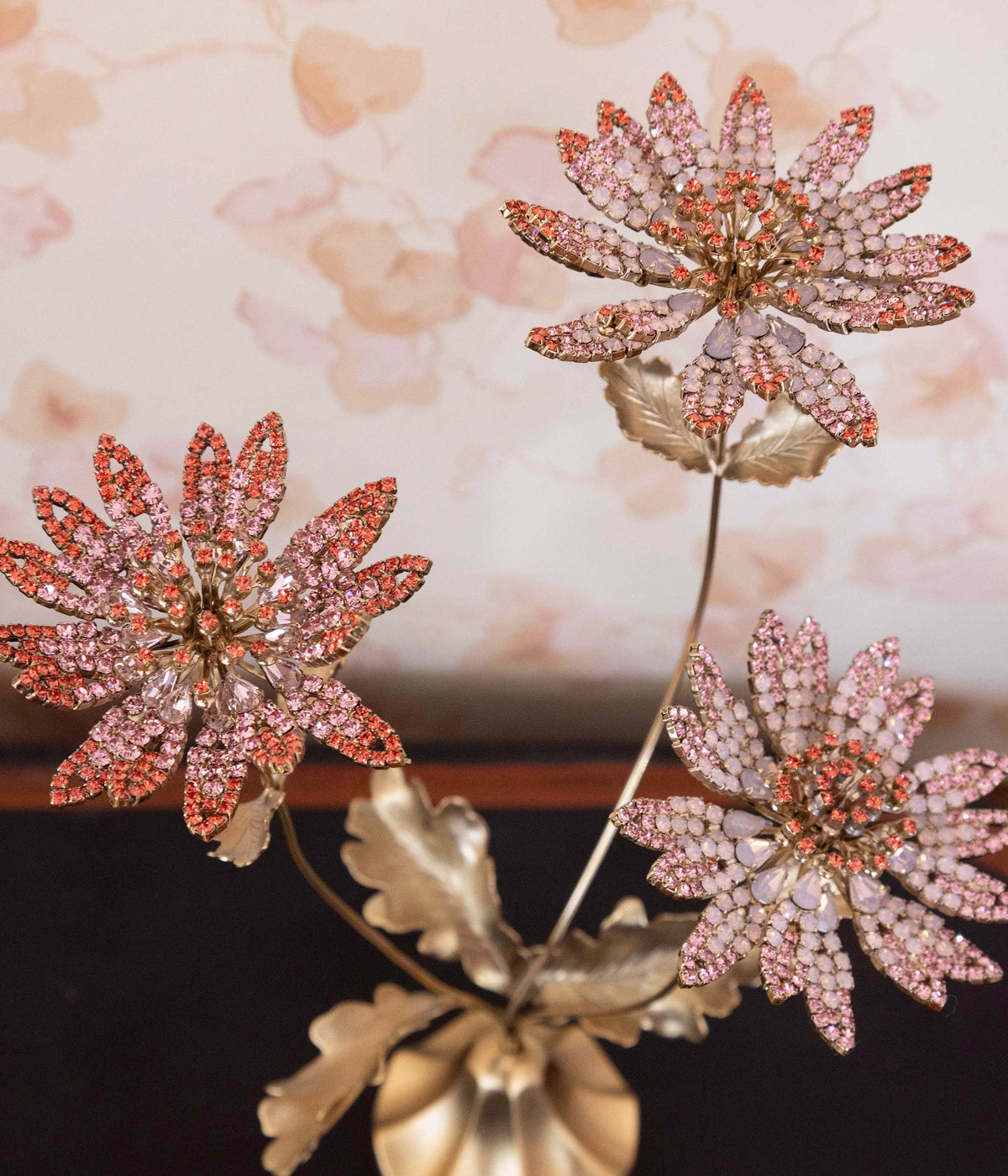 Astrantia Flower Specimen - Loren Hope