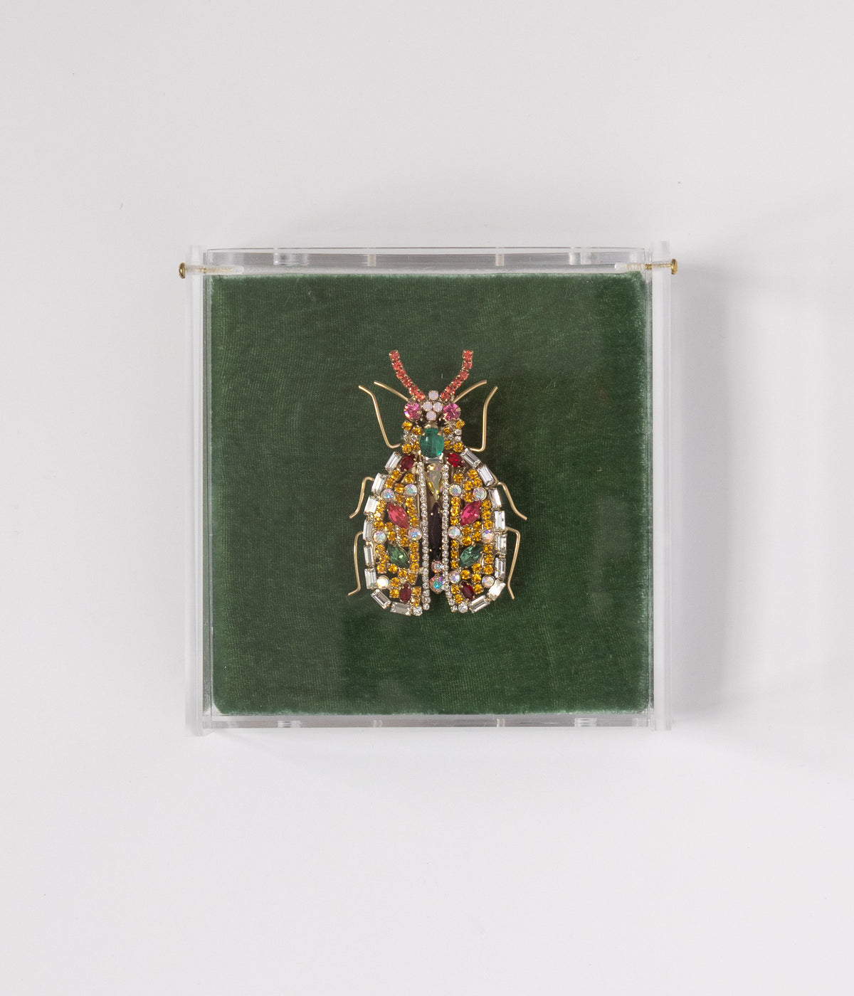 Betsy the Beetle