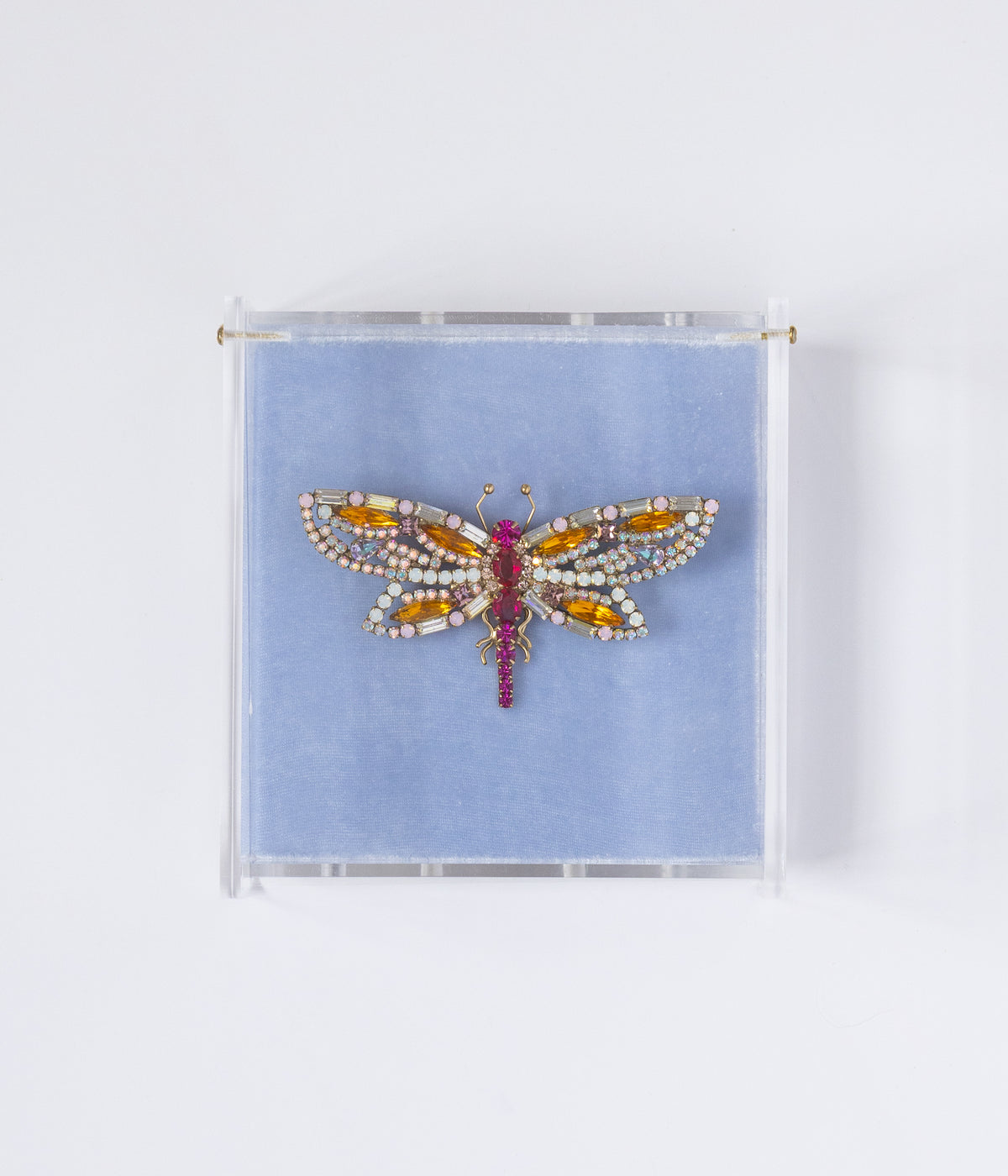 Ruby the Radiant Dragonfly