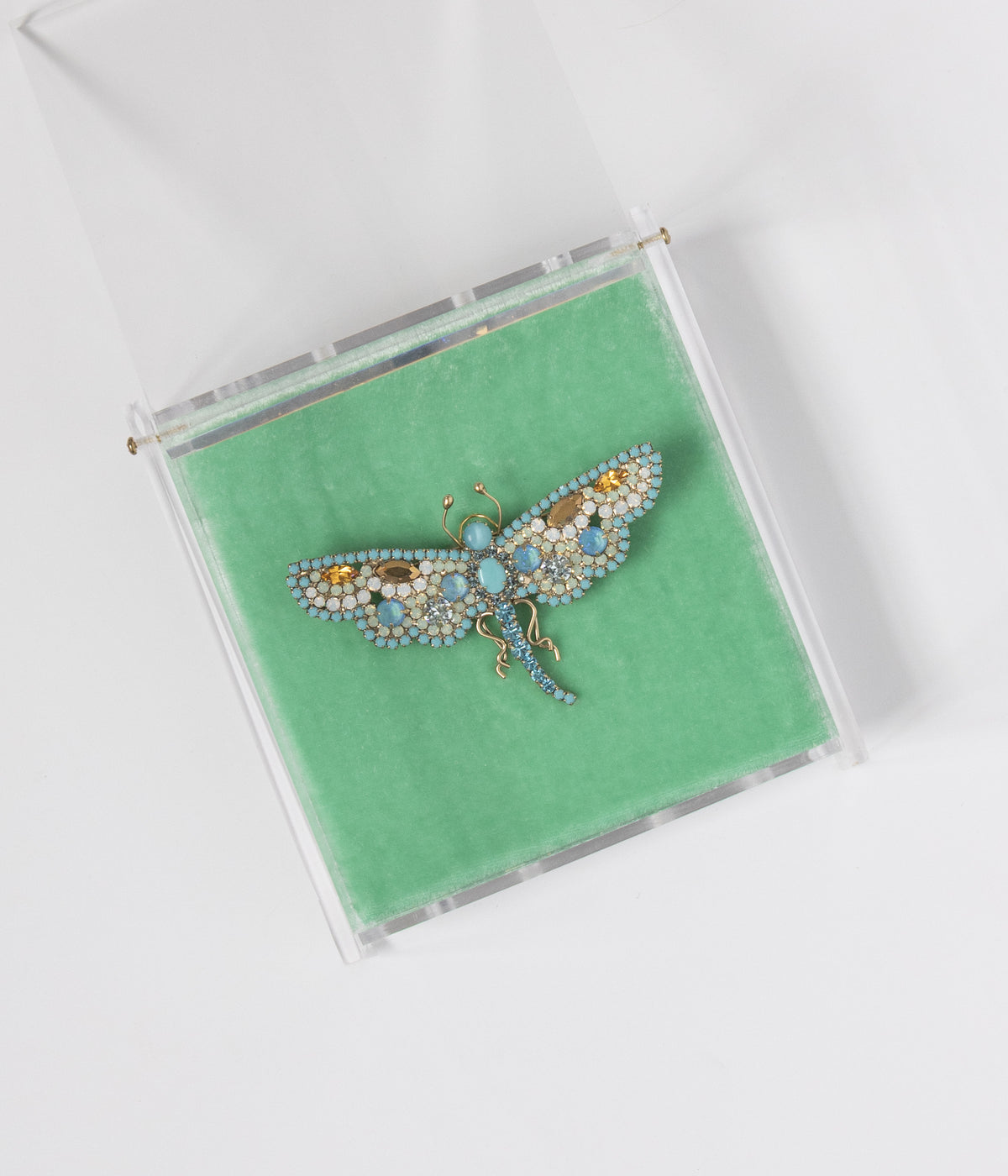 Daphne the Dreamer Dragonfly - Loren Hope