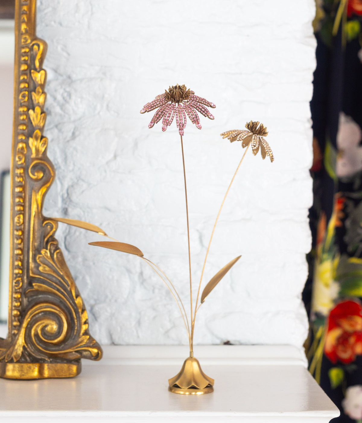 Cone Flower Specimen - Loren Hope