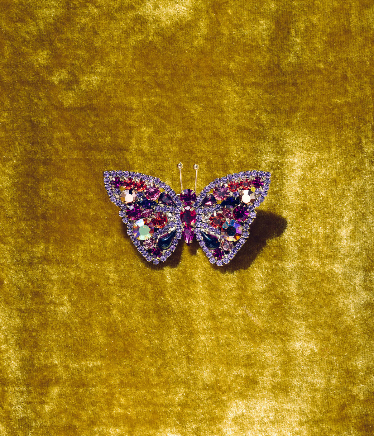 Butterfly in Fuchsia / Violet / Rose - Limited Edition of 25 - Loren Hope