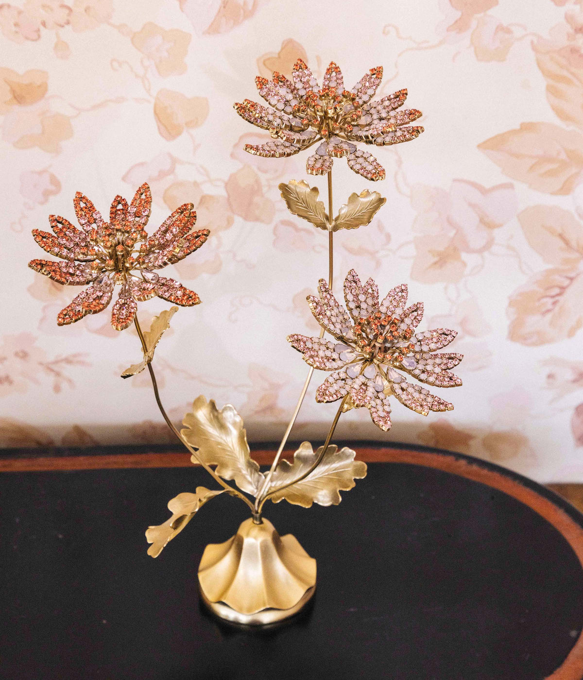 Astrantia Flower Specimen - Loren Hope