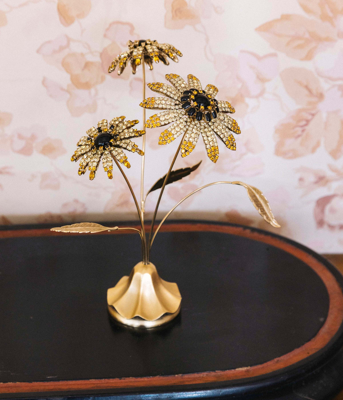 Black-Eyed Susan Flower Specimen - Loren Hope