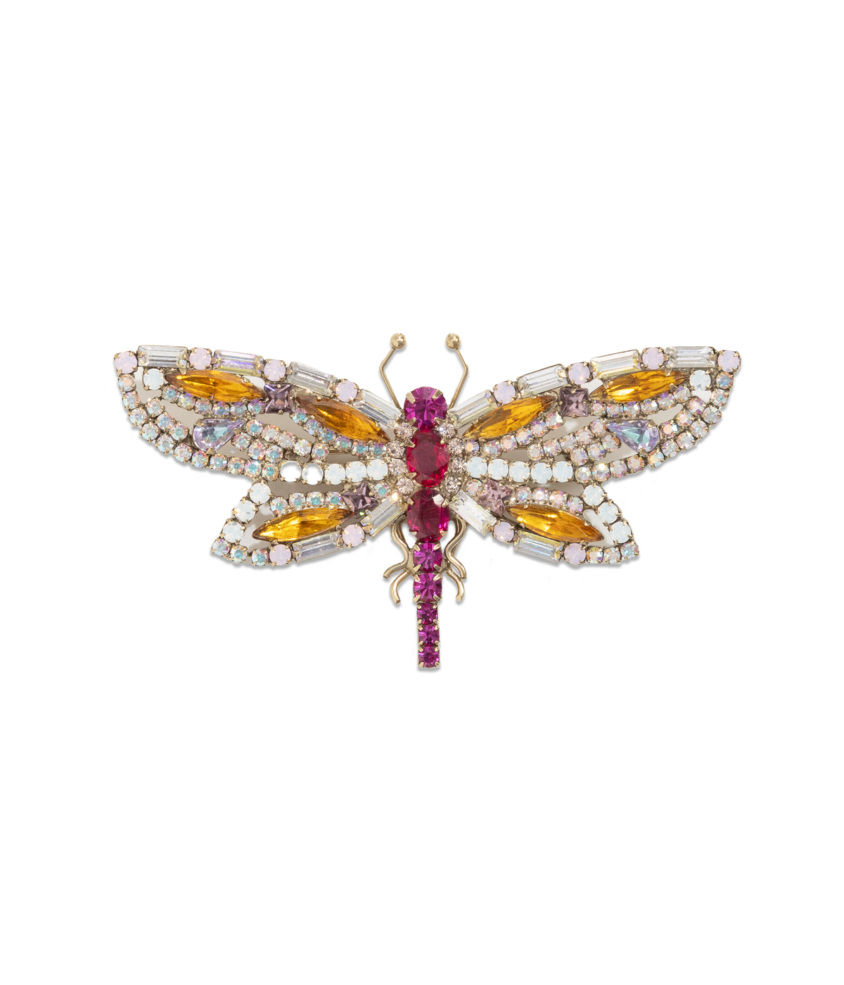 Ruby the Radiant Dragonfly