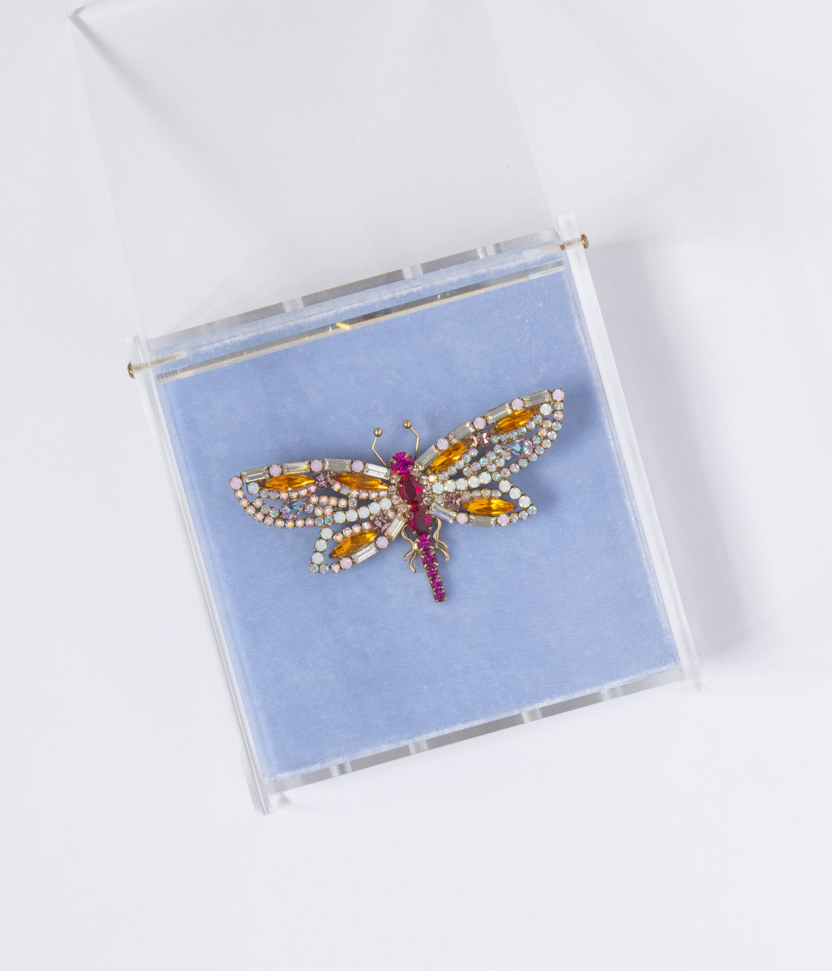 Ruby the Radiant Dragonfly