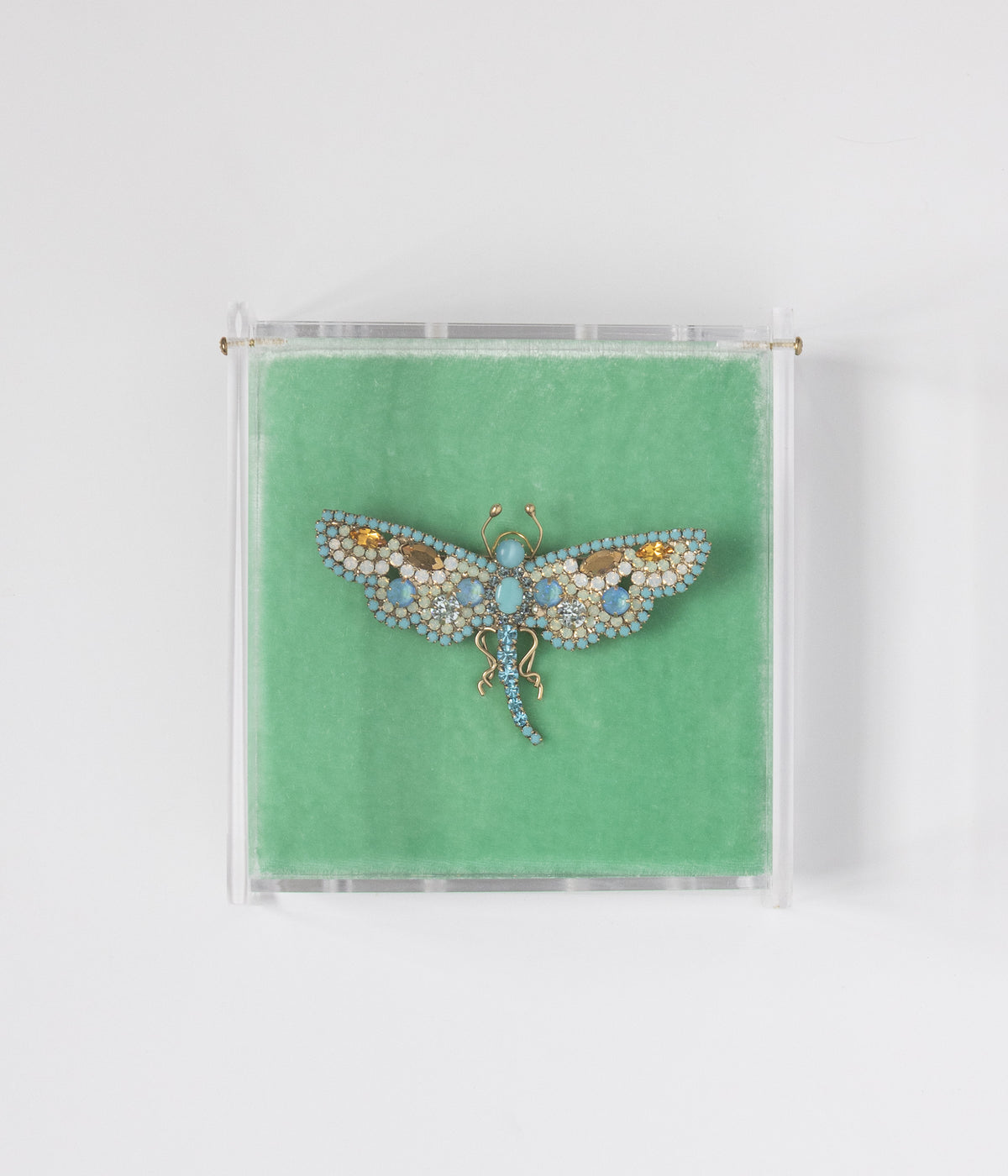 Daphne the Dreamer Dragonfly - Loren Hope