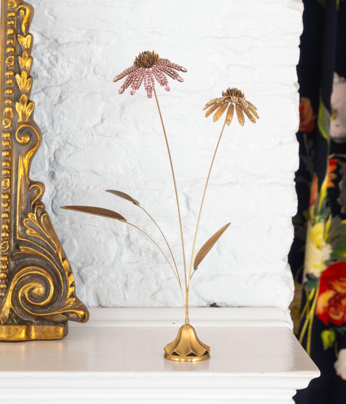 Cone Flower Specimen - Loren Hope