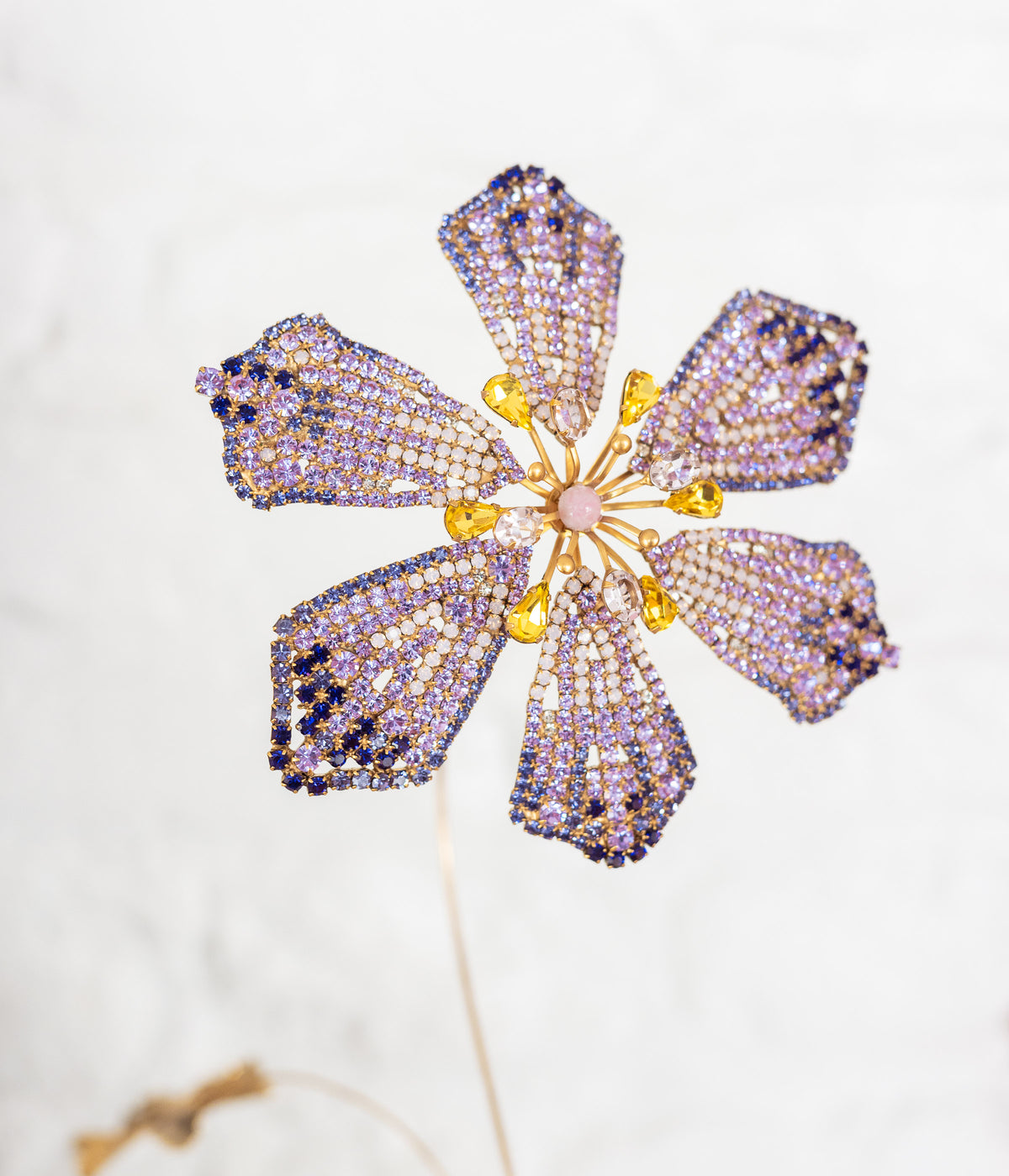 Clematis Flower Specimen - Loren Hope