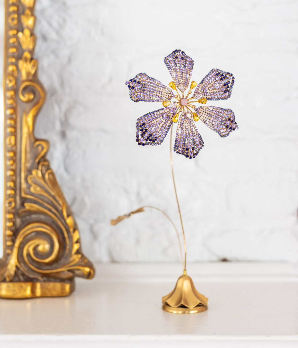 Clematis Flower Specimen - Loren Hope