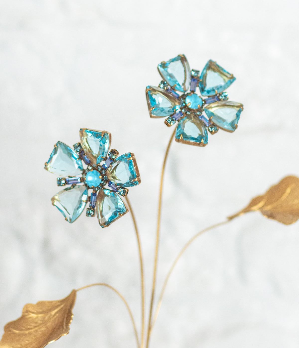 Blue Flax Flower Specimen - Loren Hope