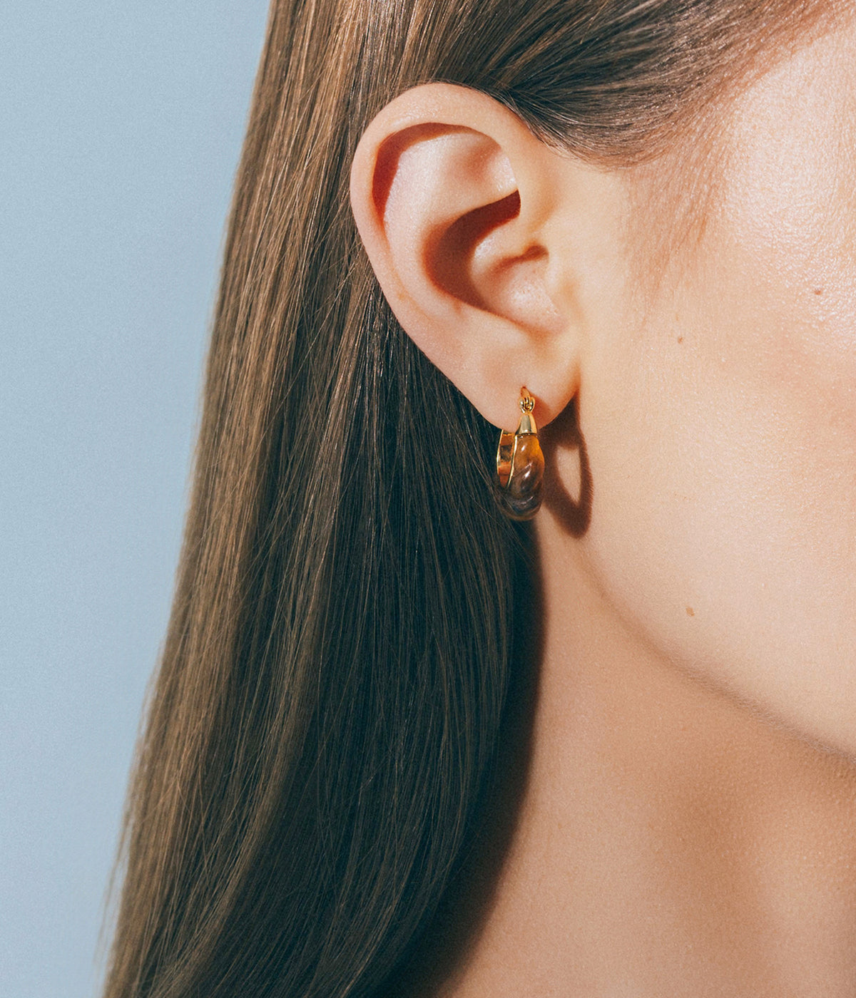 Alani Hoop Earrings in Tortoise - Loren Hope