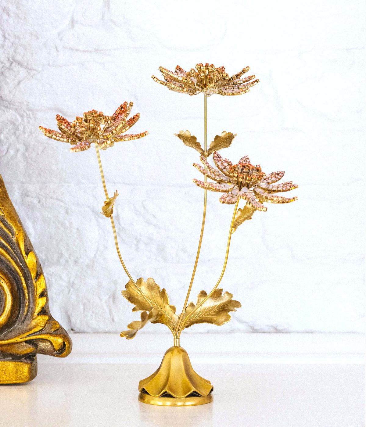 Astrantia Flower Specimen - Loren Hope